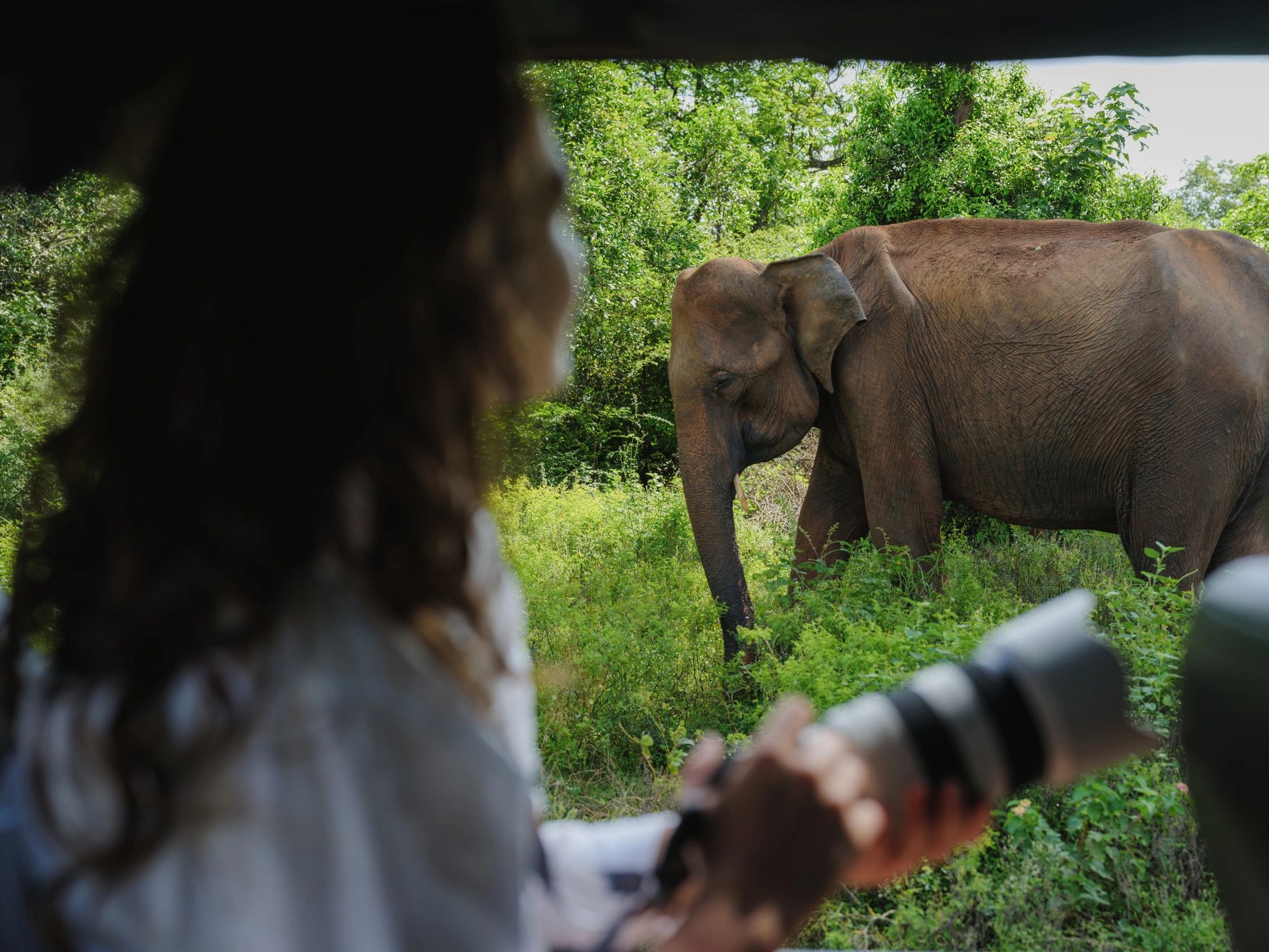 Yala National Park