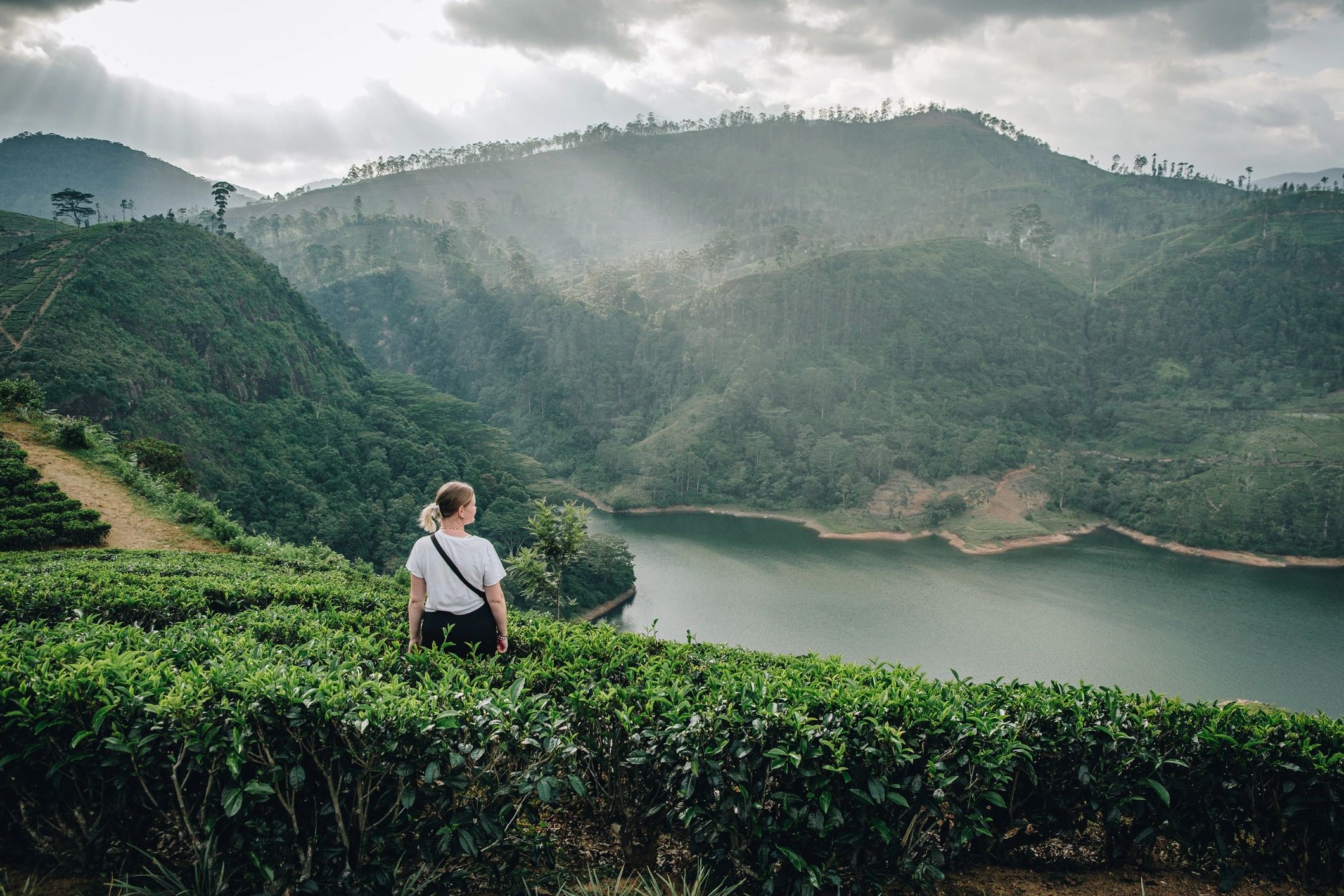 Cultural Immersion Experience