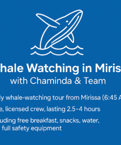 Alternative view of Whale Watching Mirissa